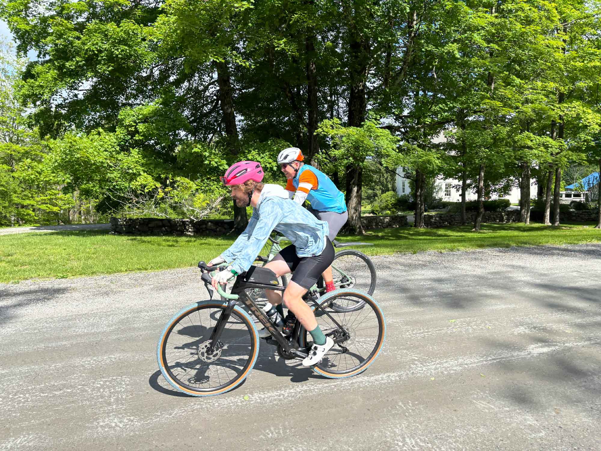 Summer cycling on tree-lined road