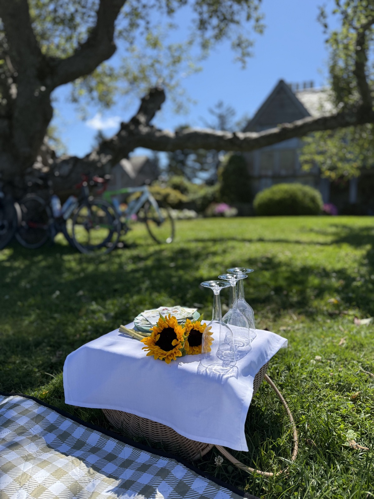 Picnic setup with sunflowers and bikes at a property